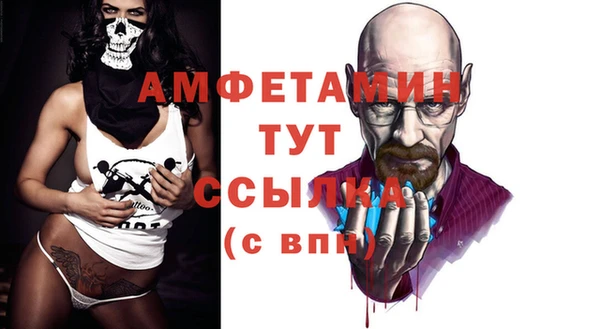 стаф Алексин