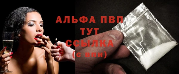 стаф Алексин