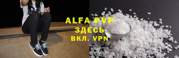 стаф Алексин